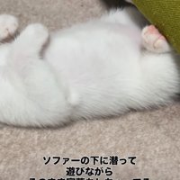 足をソファの端にかける