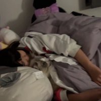 猫と寝る女の子