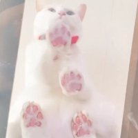 キャットウォークに座る猫