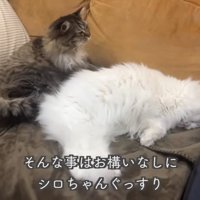 テロップ「そんな事はお構いなしに～」