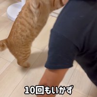 立ち上がって