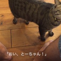 おい、とーちゃん！