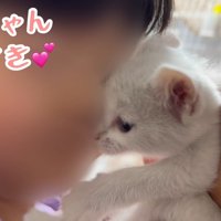 ゆめちゃん大好き