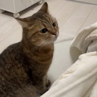 入るのをやめたみにらくん