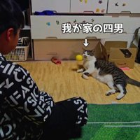 キャッチボールをする男の子と猫