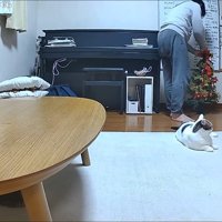 ツリーを直すパパさん