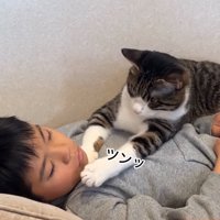顔に触れる猫