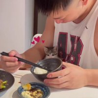 食事中の男性と子猫