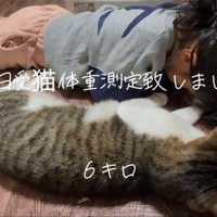 並んで横になる人と猫