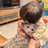 虚無顔の猫