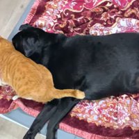 起きたらアピールするコウ君