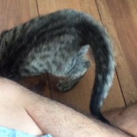 膝にくっついて