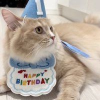 誕生日のお祝いをしてもらうサイベリアン