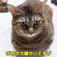 リタちゃん