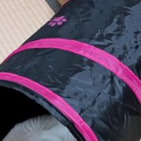 猫トンネル