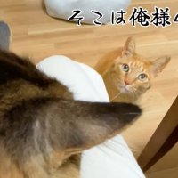 テロップ「そこは俺様の～」