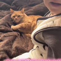 「今日も猫姉様が...」のテロップ写真1