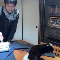 服の毛を取る飼い主と猫