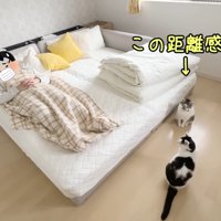 この距離感