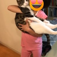 抱っこのアップ