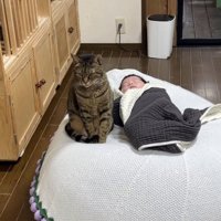 赤ちゃんが寝る布団のそばに座っている猫