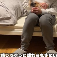 ベッドに座る人と膝に乗る子猫
