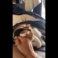 手を枕に