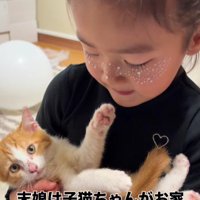 子猫を抱く女の子