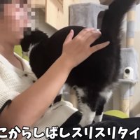 スリスリするくろまめちゃん