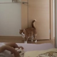 ベッドに向かう男の子