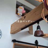 ぬいぐるみをくわえる猫