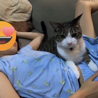 子どもの上に乗る猫の写真