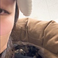 人の服の中に隠れている猫