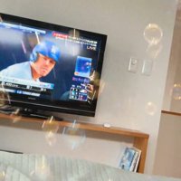 猫さんが観ているテレビ