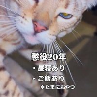 「懲役20年」と書かれた写真