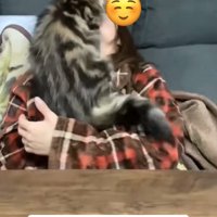 体をそらせている飼い主の上半身に乗っている猫