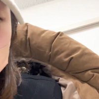 人の服の中に隠れている猫