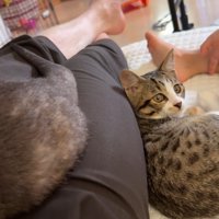 眠そうなむぎくん