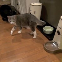 歩き出す姿