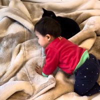 寝ている猫達と赤ちゃん