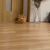 ドアの隙間