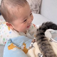 赤ちゃんを尻尾であやすキジトラ猫