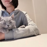 添い寝している猫