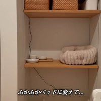 テロップ「ふかふかベッドに～」