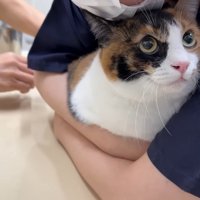 抱きしめられながら