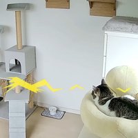 黄色いベッドの中