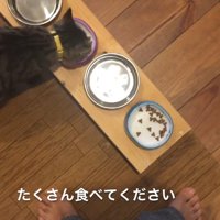 たくさん食べてください