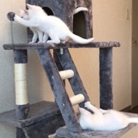 おもちゃにパンチ