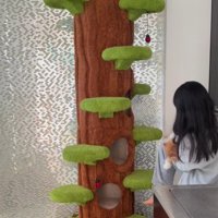 猫を抱える女の子