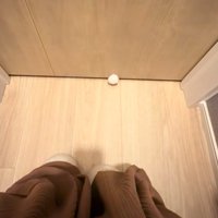 ドアの下から出てくる猫のグーの手